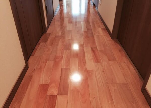 写真-2015-09-09-16-13-51